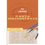 Blocco da disegno carta millimetrata