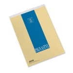 Blocco punto metallico 70 fogli Pignastyl