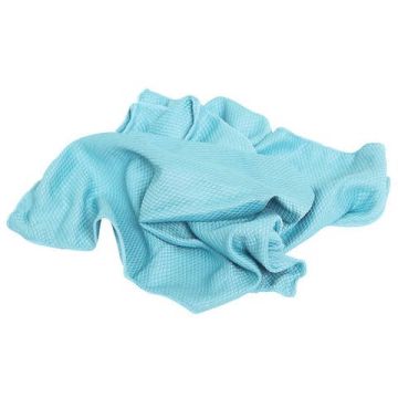 Panno in microfibra Pippo per vetri - 50x40 cm colore azzurro - NP1806
