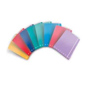 Cartella a 3 lembi con elastico Pigna Monocromo - A4 26x35,5x1,2 cm dorso 1,2 colori assortiti - 0217563