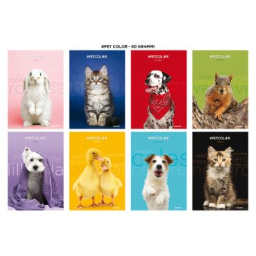 Maxi quaderno Blasetti Pet A4 80 g/m² - conf. 10 pz - 0B 7902